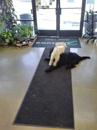 Pet Supply Store «Zamzows on Franklin Blvd», reviews and photos, 1201 Franklin Blvd, Nampa, ID 83687, USA