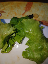 Photo n°18 de Pizzeria du Fournil 2 à Saint-Andiol ()