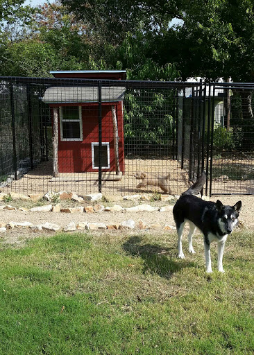 Garden of Eden Pet Resort