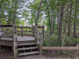 Fort Hill - photo 8