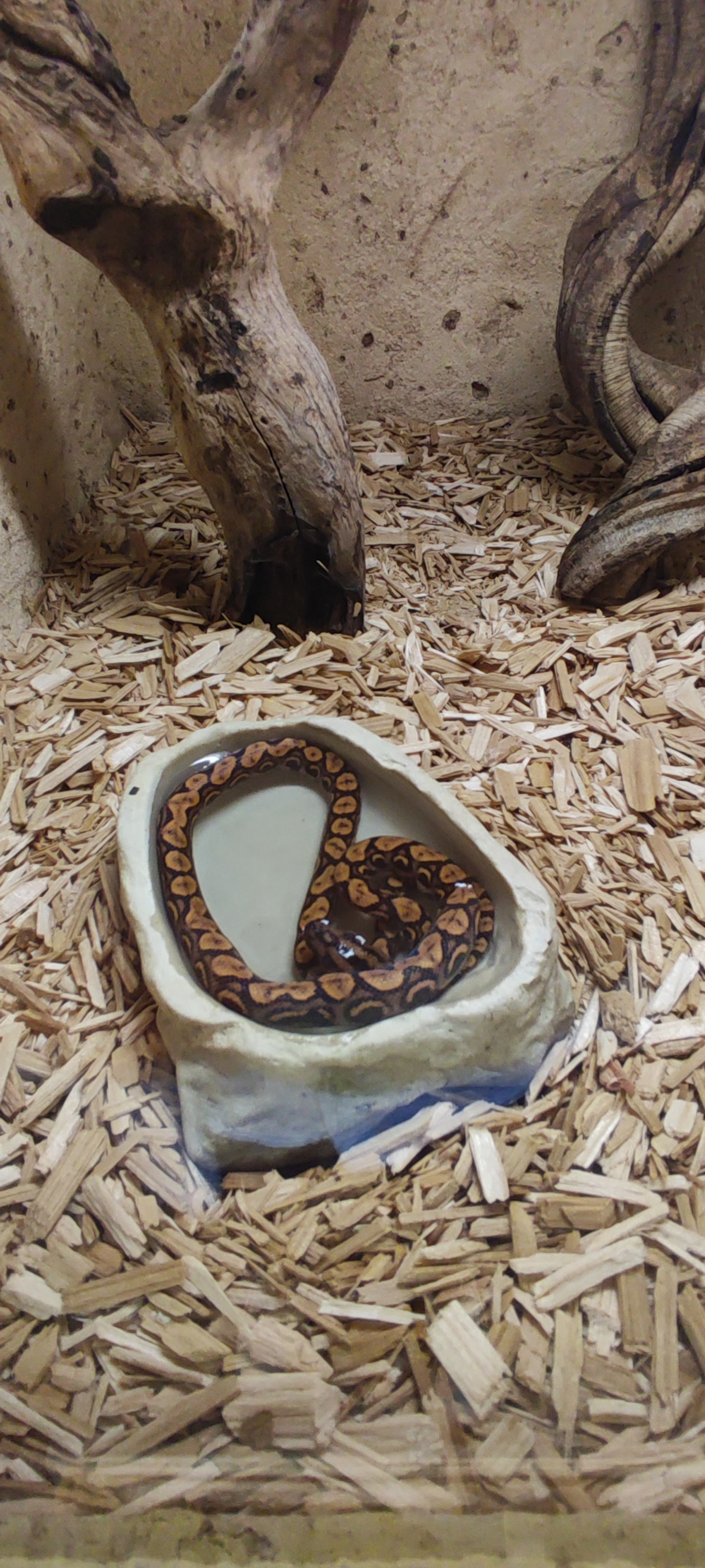 Photo n° 30 de l'avis de Yannick.o fait le 11/02/2023 à 16:29