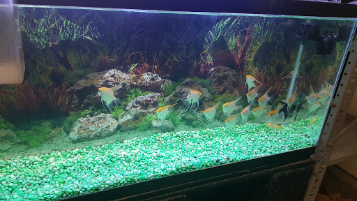 Pet Supply Store «Global Aquatics & Pet Supplies», reviews and photos, 1420 S Carlos Ave, Ontario, CA 91761, USA