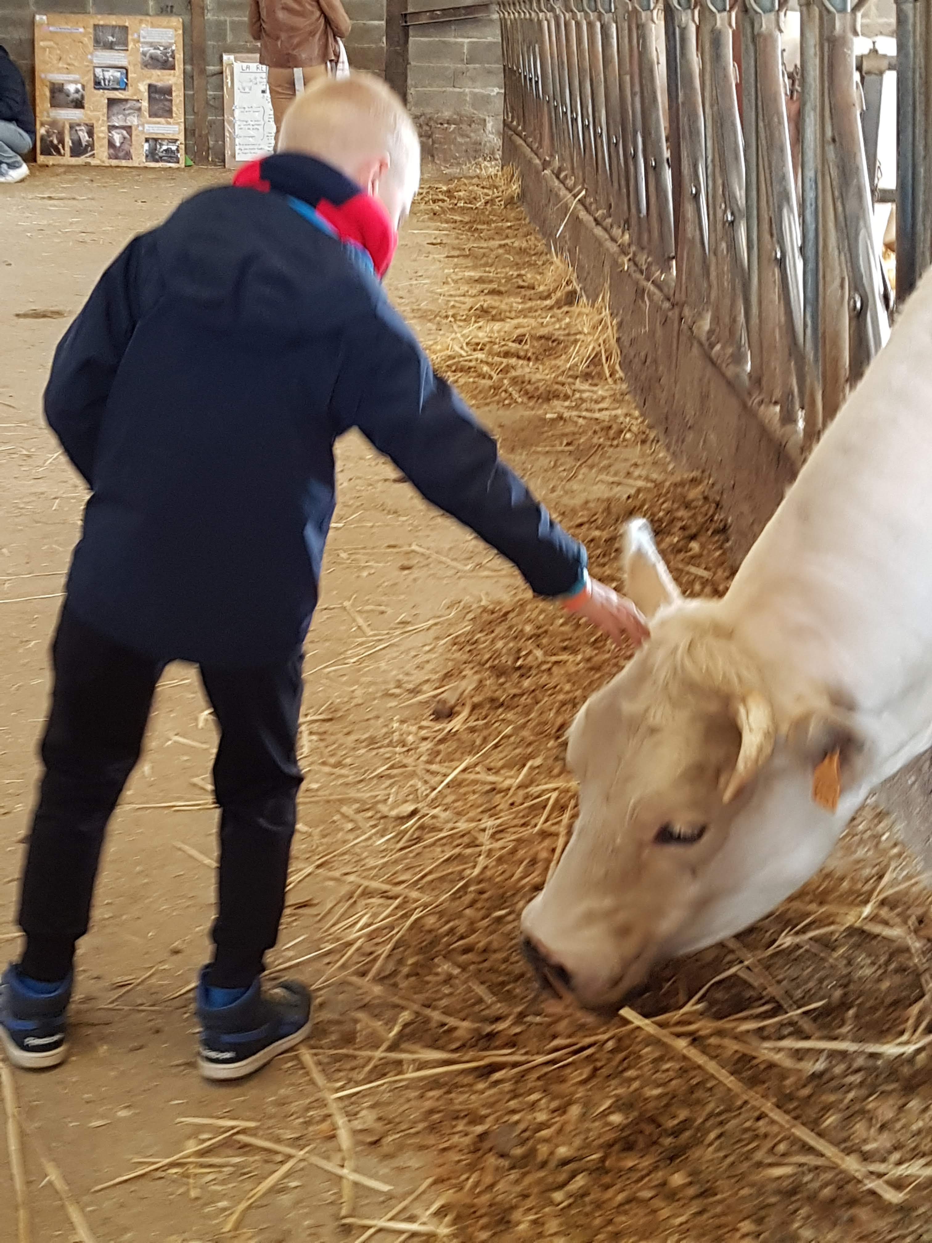 Photo n° 17 de l'avis de Alicia.P fait le 28/04/2019 à 13:27