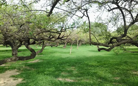 Shismahal Garden image