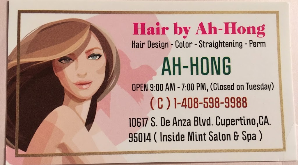 Hair by Ah Hong 95129