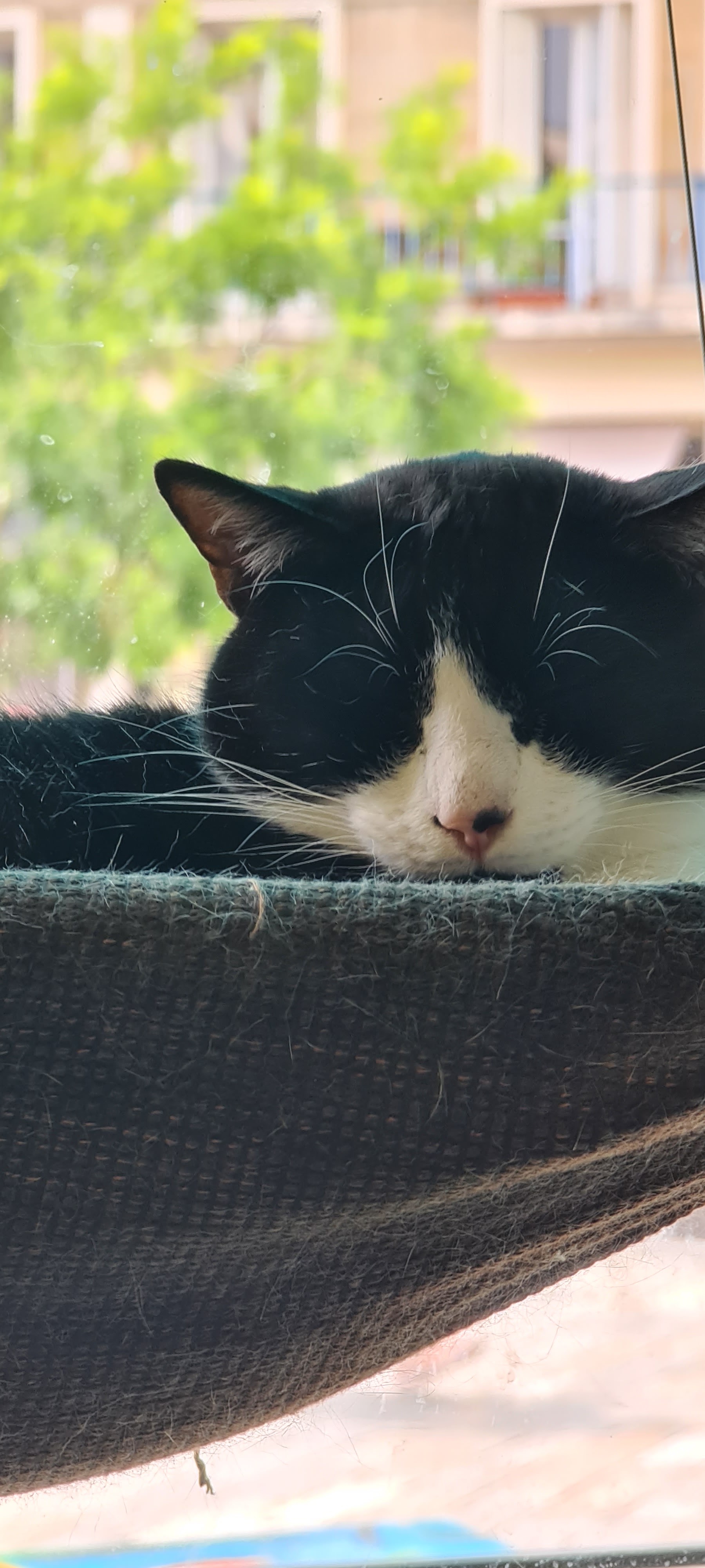 Photo n° 4 de l'avis de Lisa.e fait le 30/06/2022 à 16:44