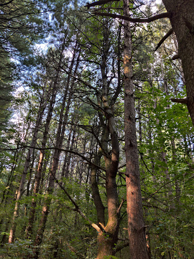 Nature Preserve «Al Sabo Land Preserve», reviews and photos, 6310 Texas Dr, Kalamazoo, MI 49009, USA