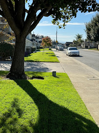EVMC LANDSCAPING - Photo 4 - Car repair in Watsonville, CA, Gilroy