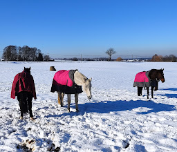 Gutsverwaltung Schönfelder Hochland photo