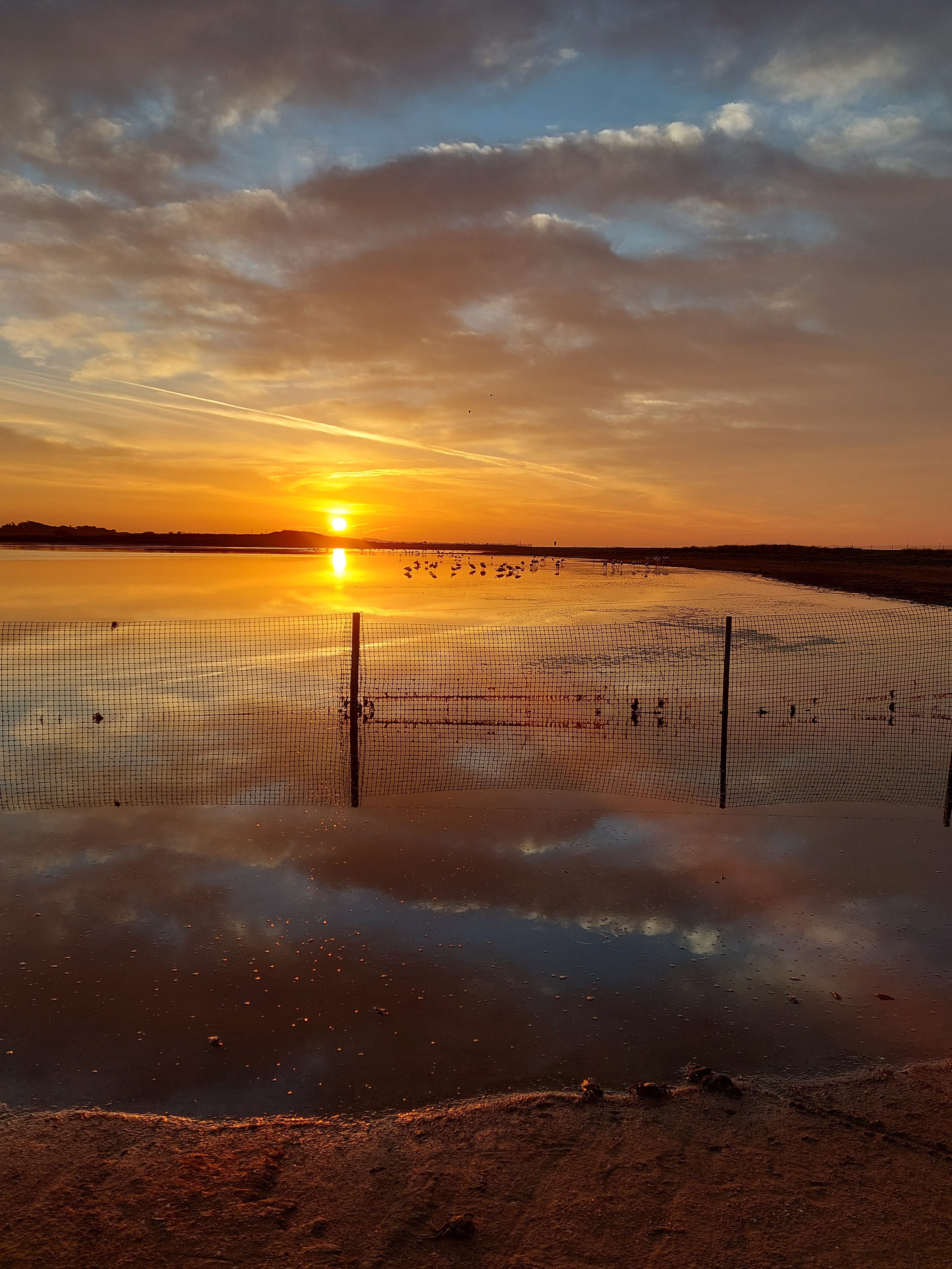 Photo n° 4 de l'avis de Thierry.a fait le 19/09/2022 à 21:07