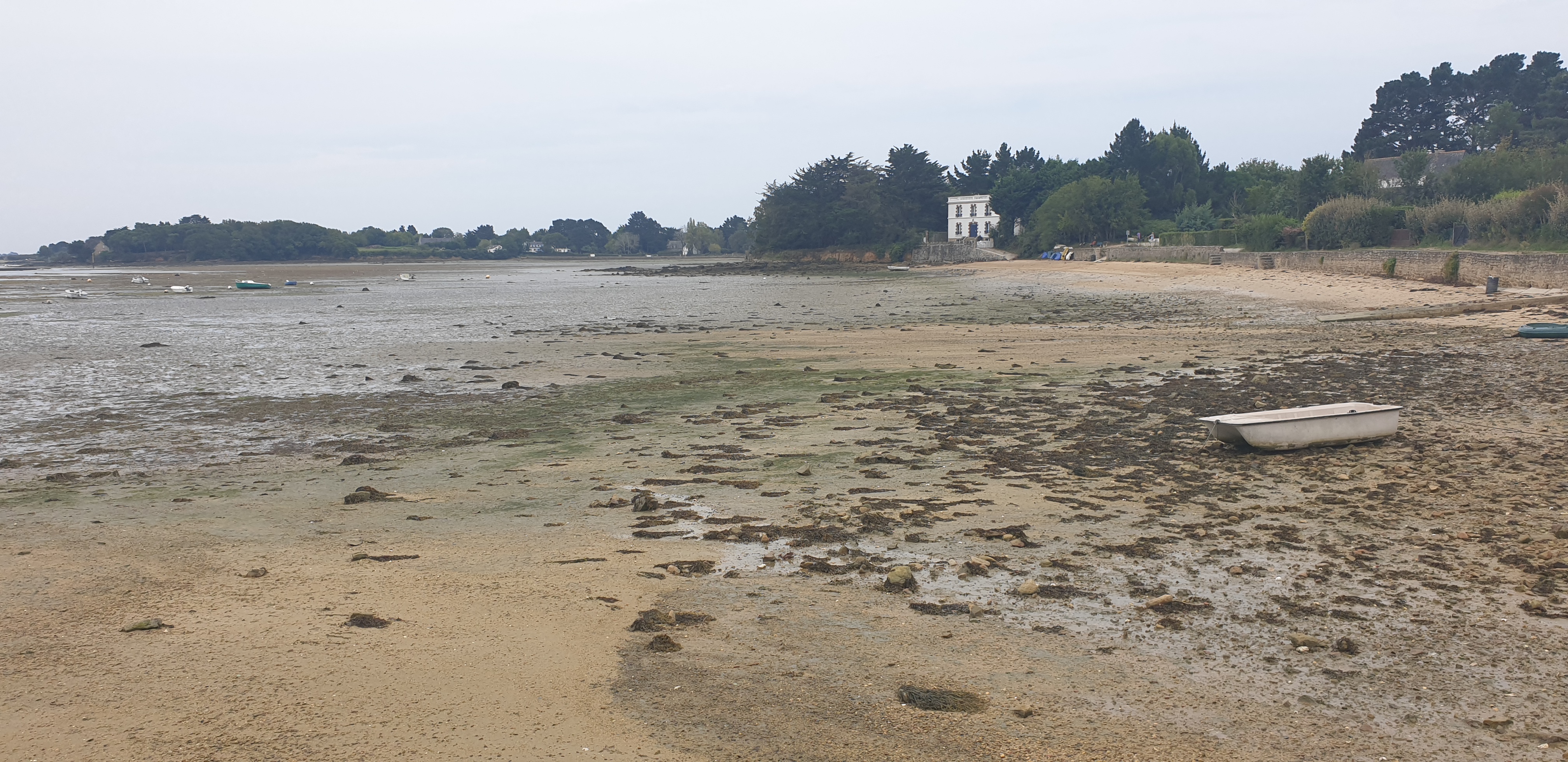 Photo n° 13 de l'avis de Olivier.o fait le 18/09/2020 à 17:22