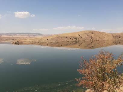 Kapulukaya Barajı