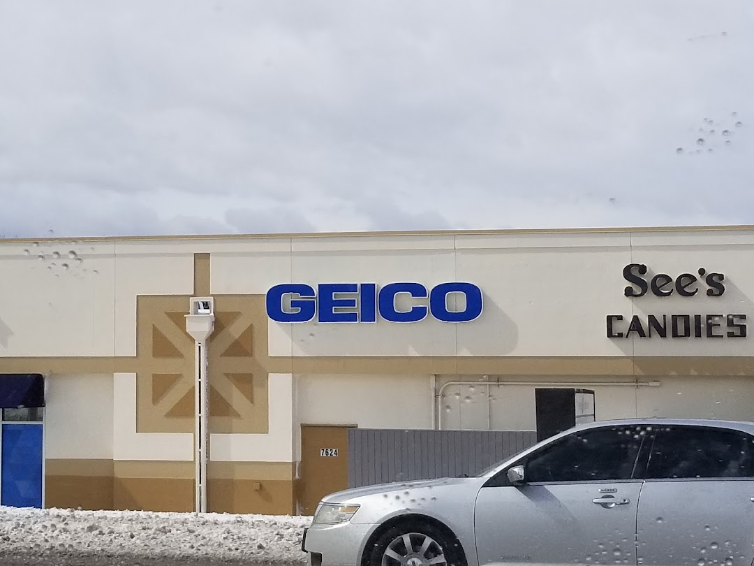 GEICO Insurance Agent