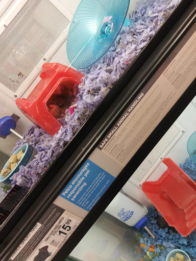 Pet Supply Store «Petco Animal Supplies», reviews and photos, 5406 Pacific Ave, Stockton, CA 95207, USA