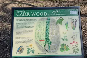 Carr Wood image