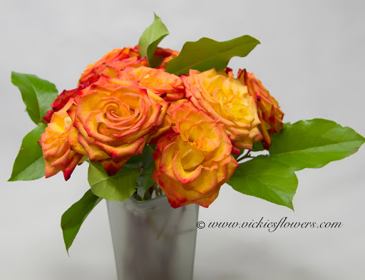 Florist «Vickies Flowers», reviews and photos, 16150 Geneva Ct, Brighton, CO 80602, USA