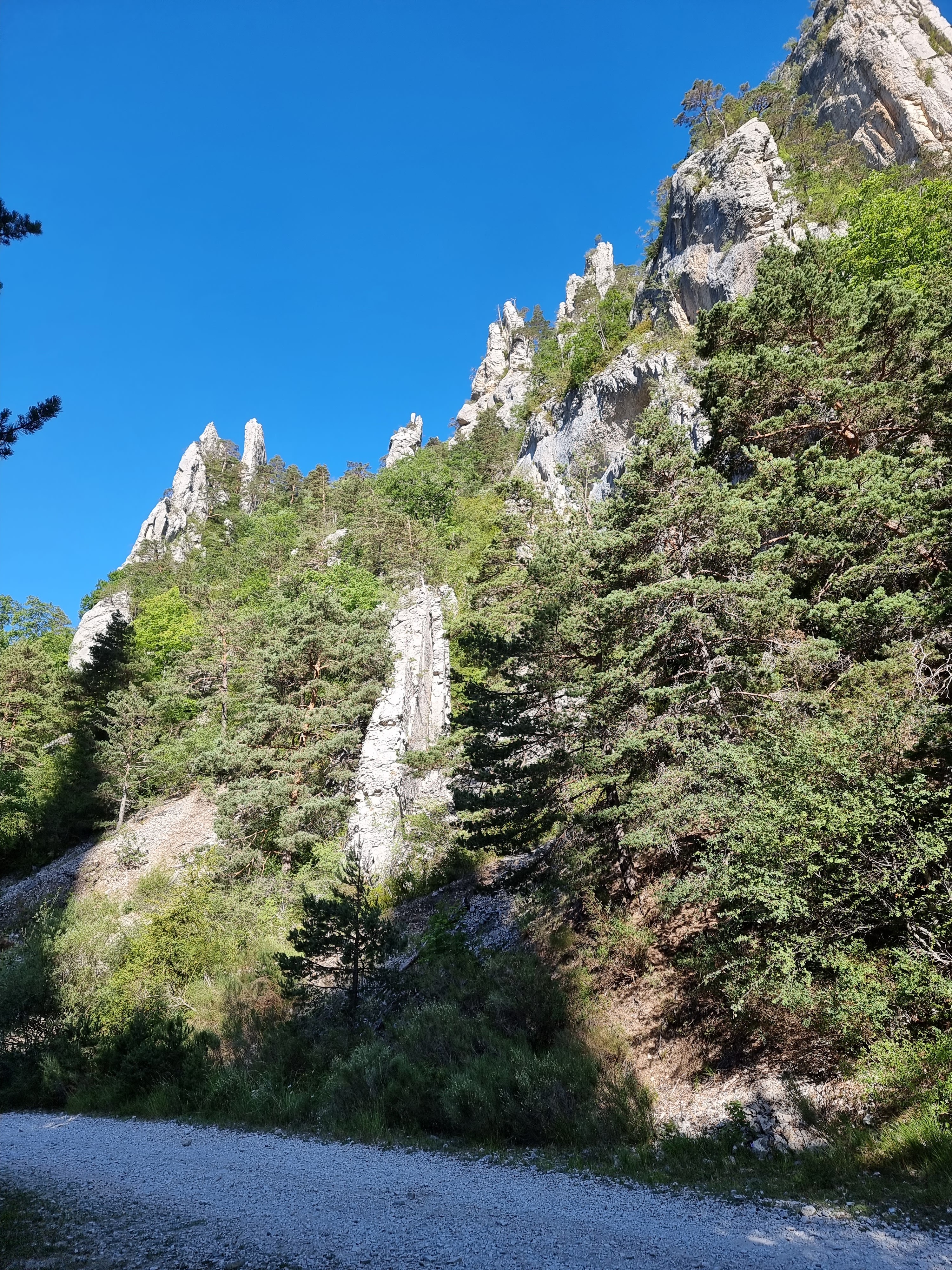 Photo n° 1 de l'avis de Viktória.i fait le 16/07/2022 à 13:58