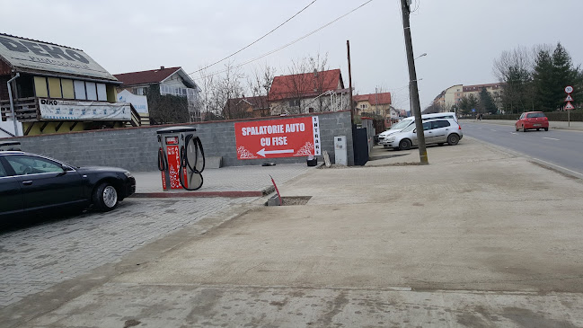 Spalatorie Auto Cu fise Padurice