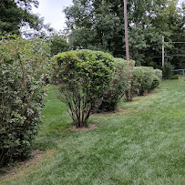 Royal Blue Landscaping Corp - Photo 5 - Car repair in West Chicago, IL, Naperville