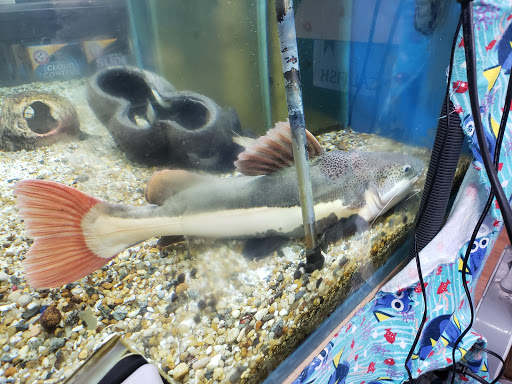 Pet Store «Pets Plus - Quakertown», reviews and photos, 117 S West End Blvd, Quakertown, PA 18951, USA