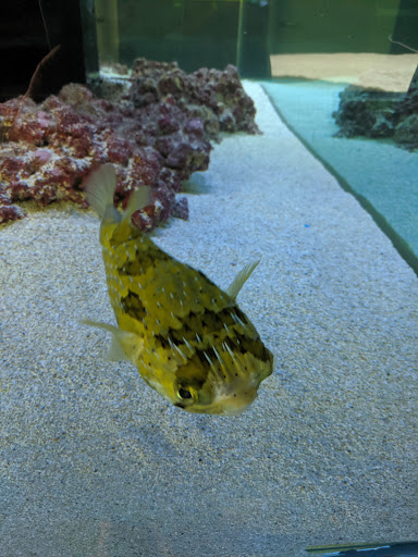 Aquarium «Aquatica», reviews and photos, 800 Clanton Rd H, Charlotte, NC 28117, USA