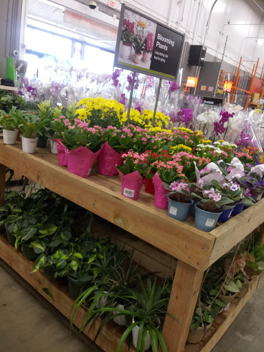 Home Improvement Store «The Home Depot», reviews and photos, 655 Lake Cook Rd, Deerfield, IL 60015, USA