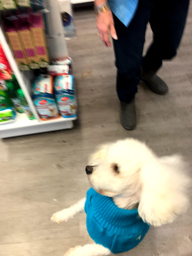 Pet Supply Store «Sonoma Pet and Aquatics», reviews and photos, 201 W Napa St #7, Sonoma, CA 95476, USA