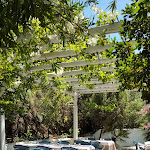 Photo n°3 de l'avis de Mauro.u fait le 12/06/2022 à 13:26 sur le  Ristorantino Masiloghi - Ristorante Tipico sardo à Oliena