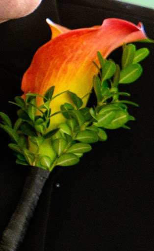 Florist «Sedgefield Florist», reviews and photos, 5002 High Point Rd a, Greensboro, NC 27407, USA