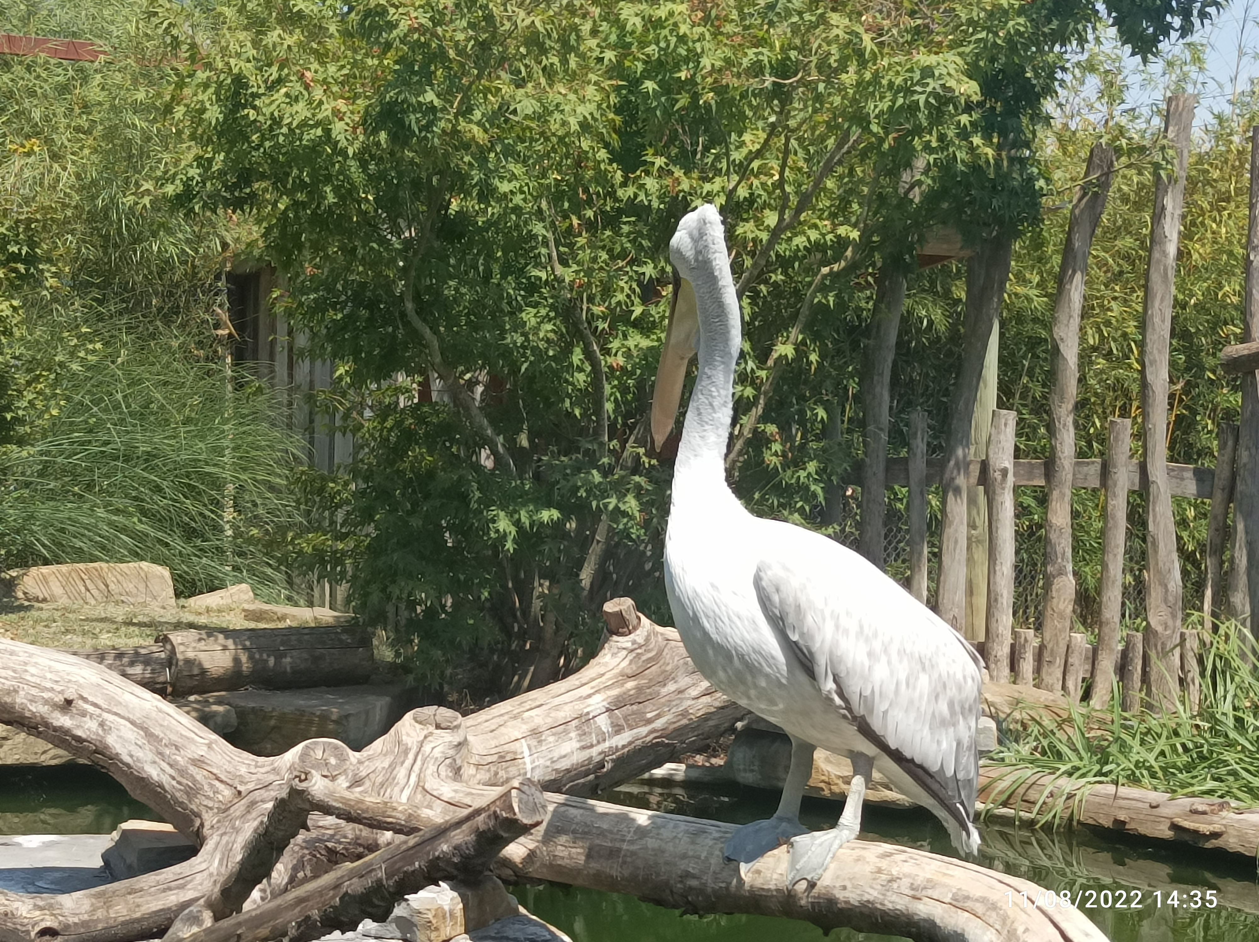 Photo n° 9 de l'avis de aurelie.� fait le 31/08/2019 à 22:43