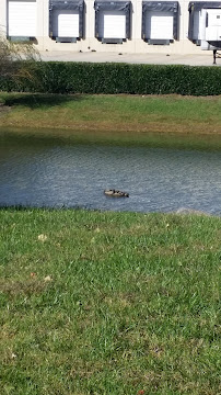 H & M Bay - Photo 2 - Car repair in Charlotte, NC, Rock Hill