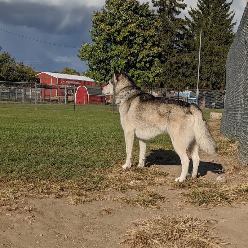 Gas City Dog Park