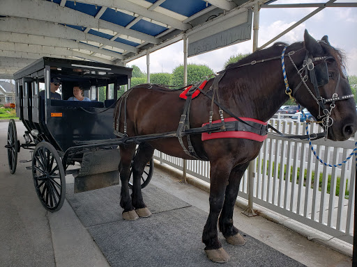 Furniture Store «Shipshewana Furniture Co.», reviews and photos, 130 E Middlebury St, Shipshewana, IN 46565, USA