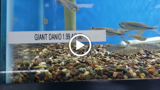 Pet Store «Animal Island Pet Shop», reviews and photos, 14411 S Cicero Ave, Midlothian, IL 60445, USA