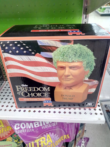 Discount Store «Kmart», reviews and photos, 159 Wilbraham St, Palmer, MA 01069, USA