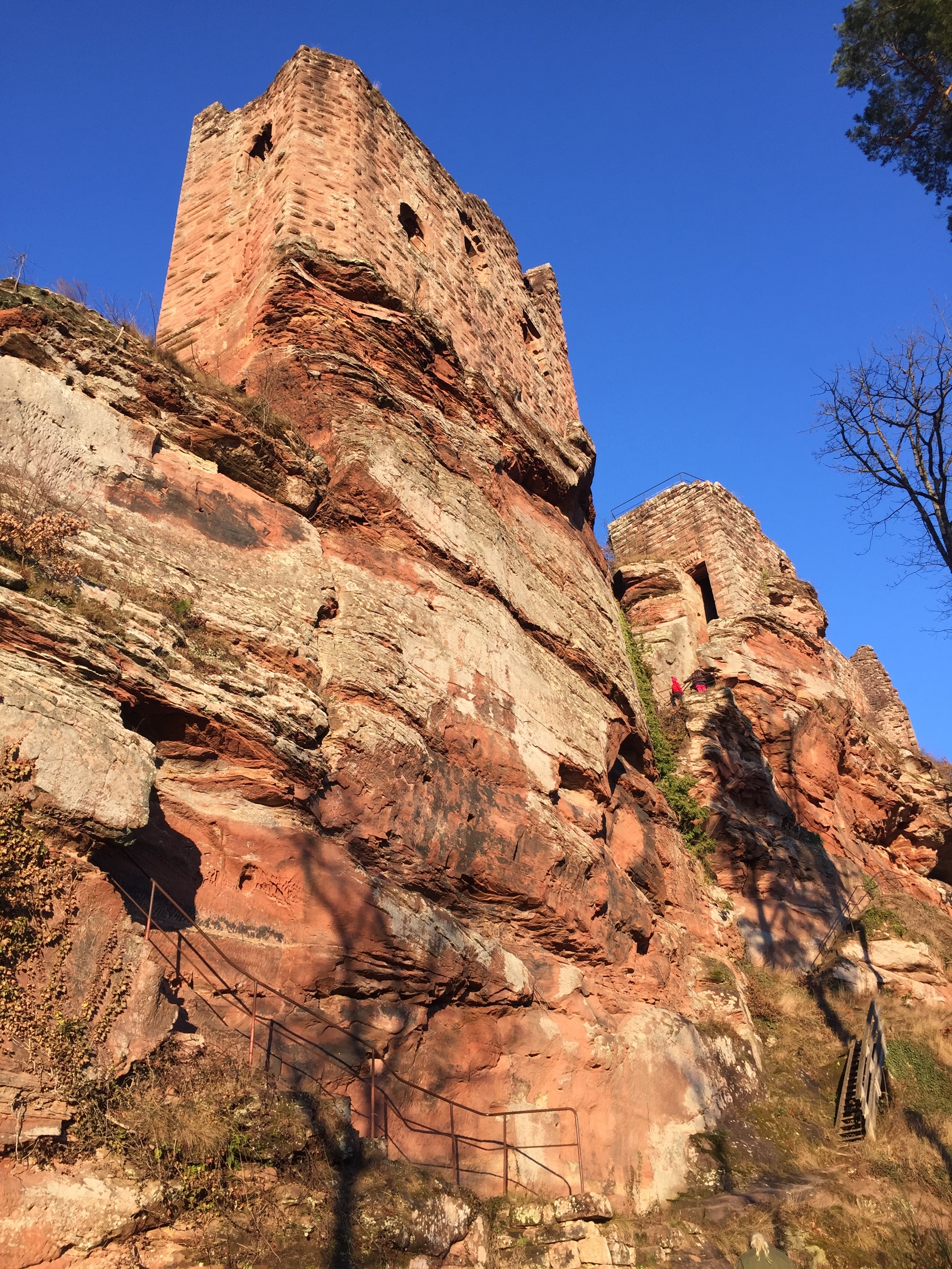 Photo n° 9 de l'avis de Sandra.i fait le 31/12/2020 à 14:00