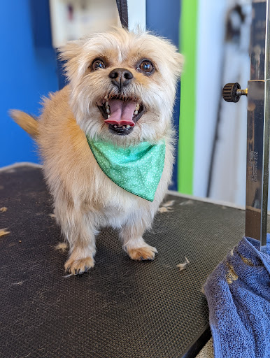 Pet Store «Healthy Pets Mountain West», reviews and photos, 2352 Fort Union Blvd, Cottonwood Heights, UT 84121, USA