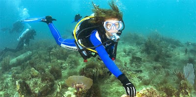 Photos of Global Dive Academy