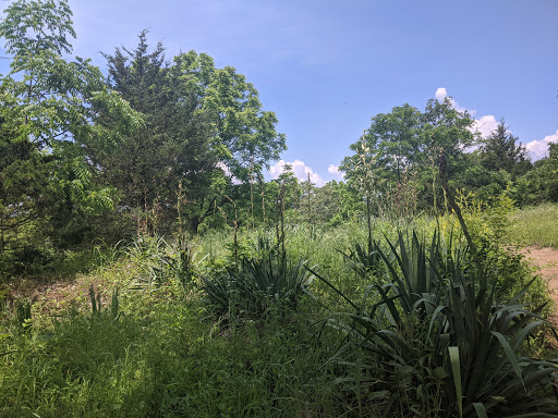 Tourist Attraction «Wabash Frisco & Pacific Railway», reviews and photos, 101 Grand Ave, Glencoe, MO 63038, USA