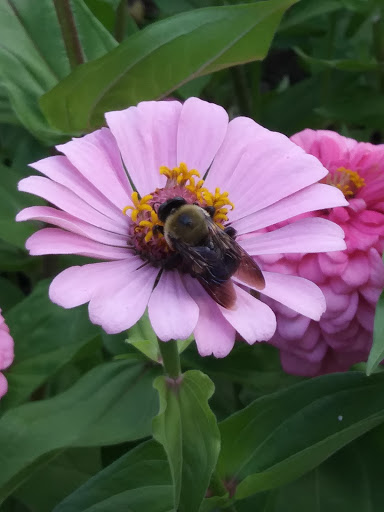 Winery «Debonne Vineyards», reviews and photos, 7840 Doty Rd, Madison, OH 44057, USA