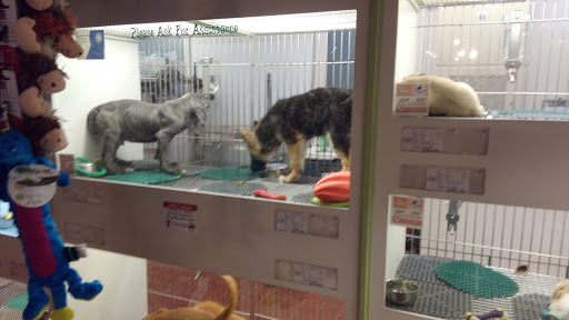 Pet Store «Pets Plus Inc», reviews and photos, 2610 Jefferson Davis Hwy, Stafford, VA 22554, USA