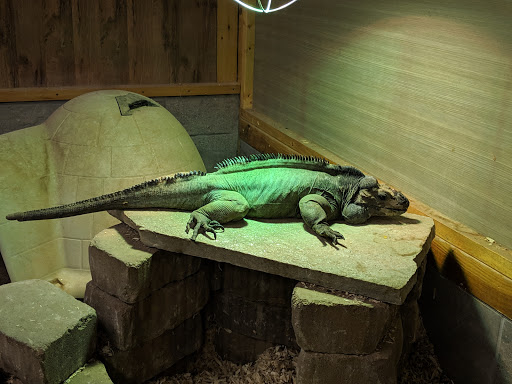 Zoo «Reptile Zoo», reviews and photos, 22715 US-2, Monroe, WA 98272, USA