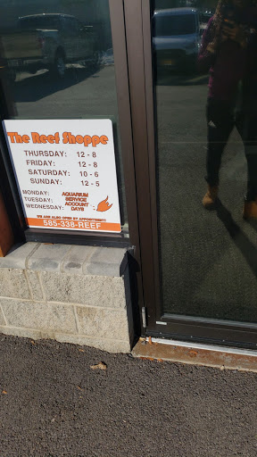 Aquarium «The Reef Shoppe», reviews and photos, 1969 East Ridge Road, Rochester, NY 14622, USA