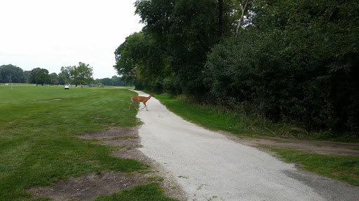 Golf Course «Indian Boundary Golf Course», reviews and photos, 8600 W Forest Preserve Ave, Chicago, IL 60634, USA