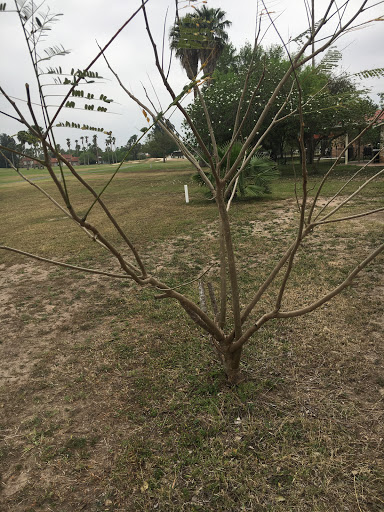 Country Club «Rancho Viejo Resort & Country Club», reviews and photos, 1 Rancho Viejo Dr, Rancho Viejo, TX 78575, USA