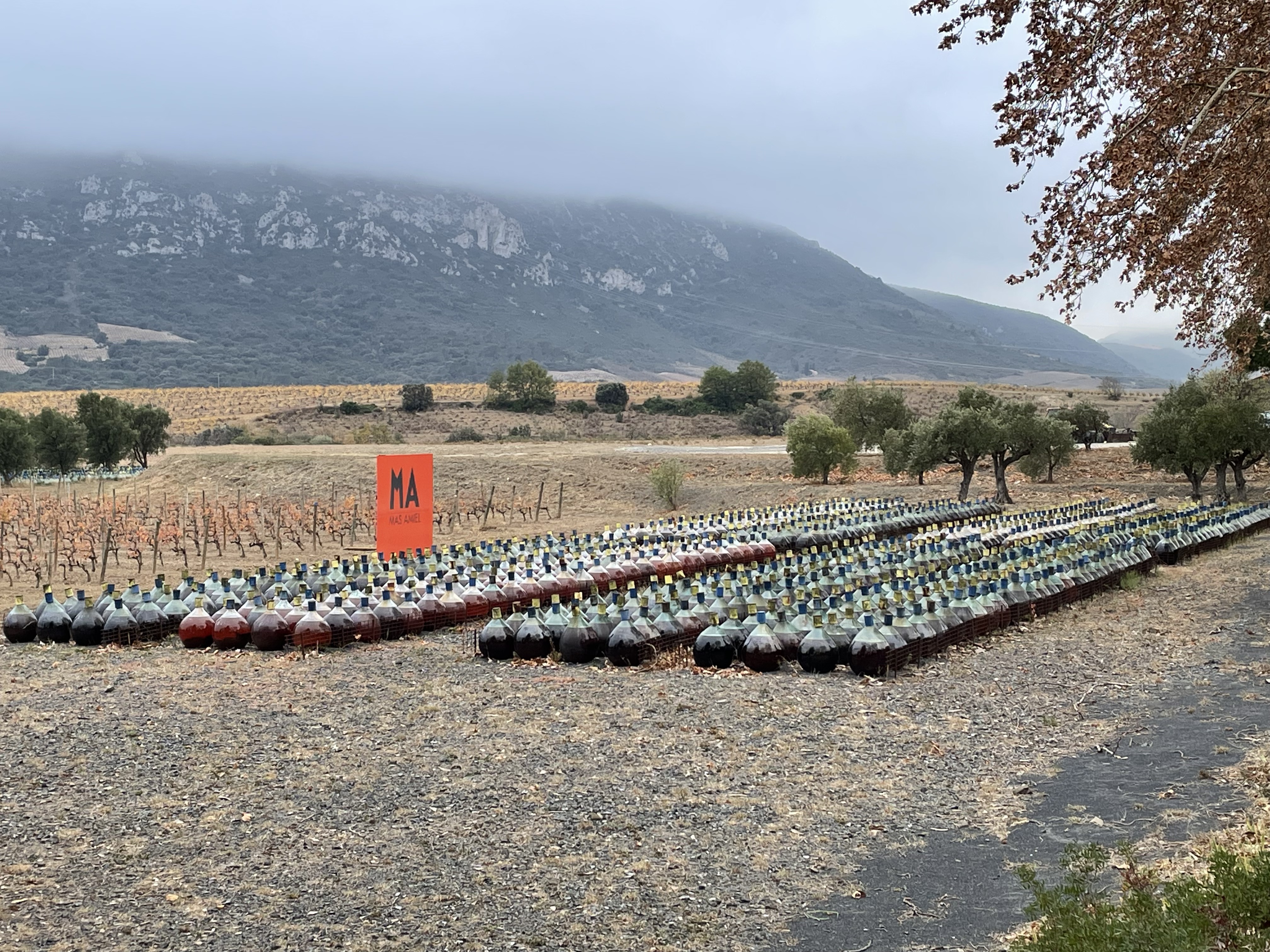 Photo n° 1 de l'avis de Pif.a fait le 30/11/2023 à 10:25
