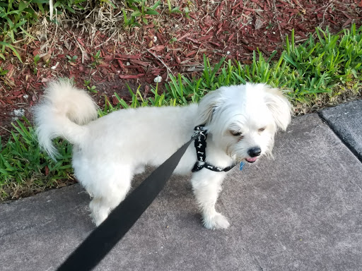 Golf Course «Granada Golf Course», reviews and photos, 2001 Granada Blvd, Coral Gables, FL 33134, USA