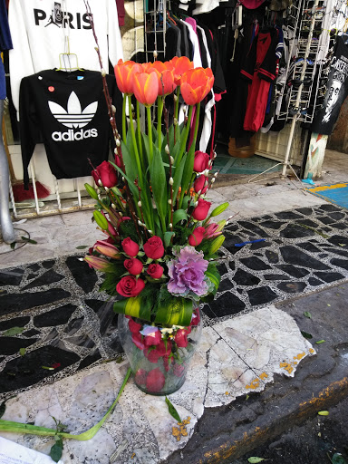 FLORERIA SAN JUDAS TADEO – Cuautitlán de Romero Rubio