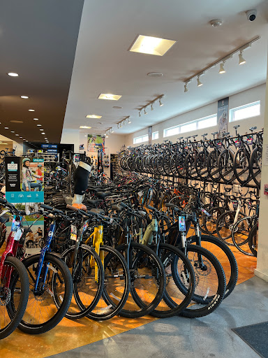 Bicycle Store «Cycle World Miami», reviews and photos, 8476 SW 40th St, Miami, FL 33155, USA