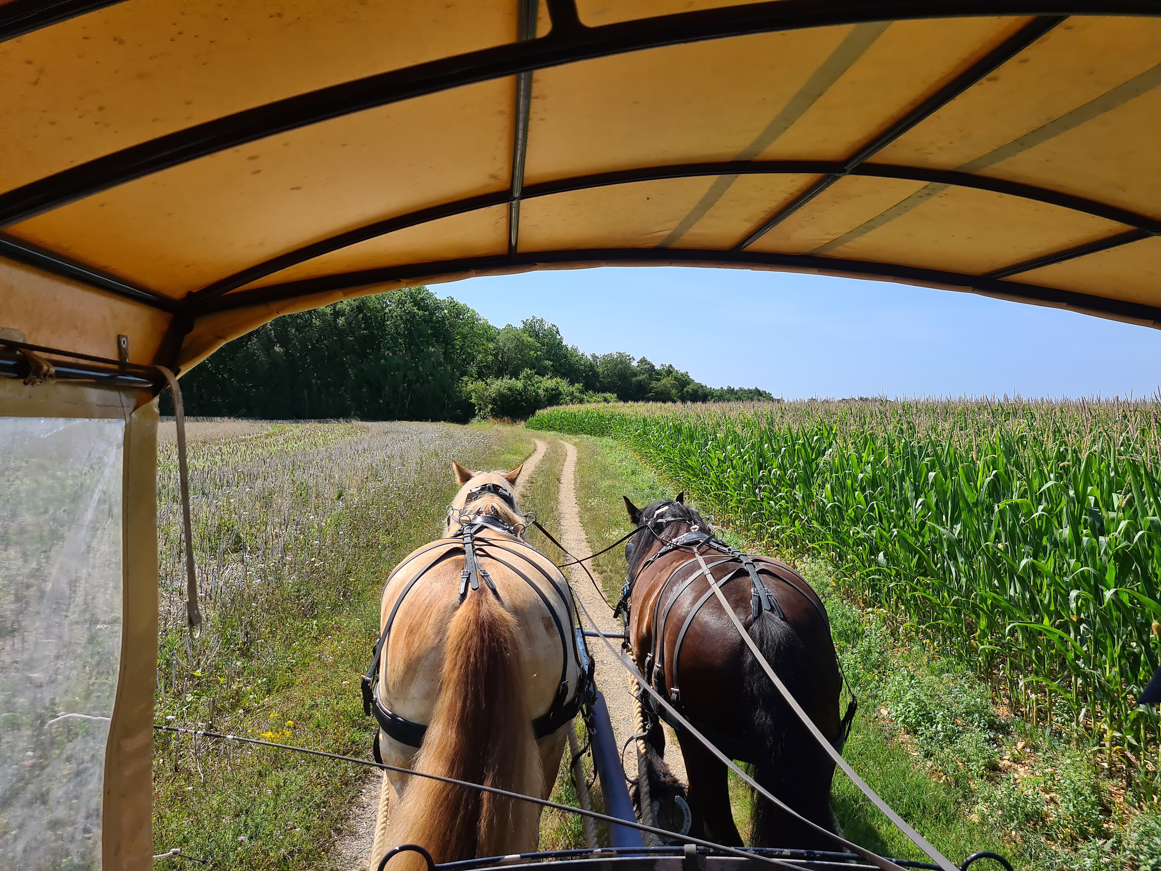 Photo n° 2 de l'avis de Sam.a fait le 08/07/2023 à 20:46